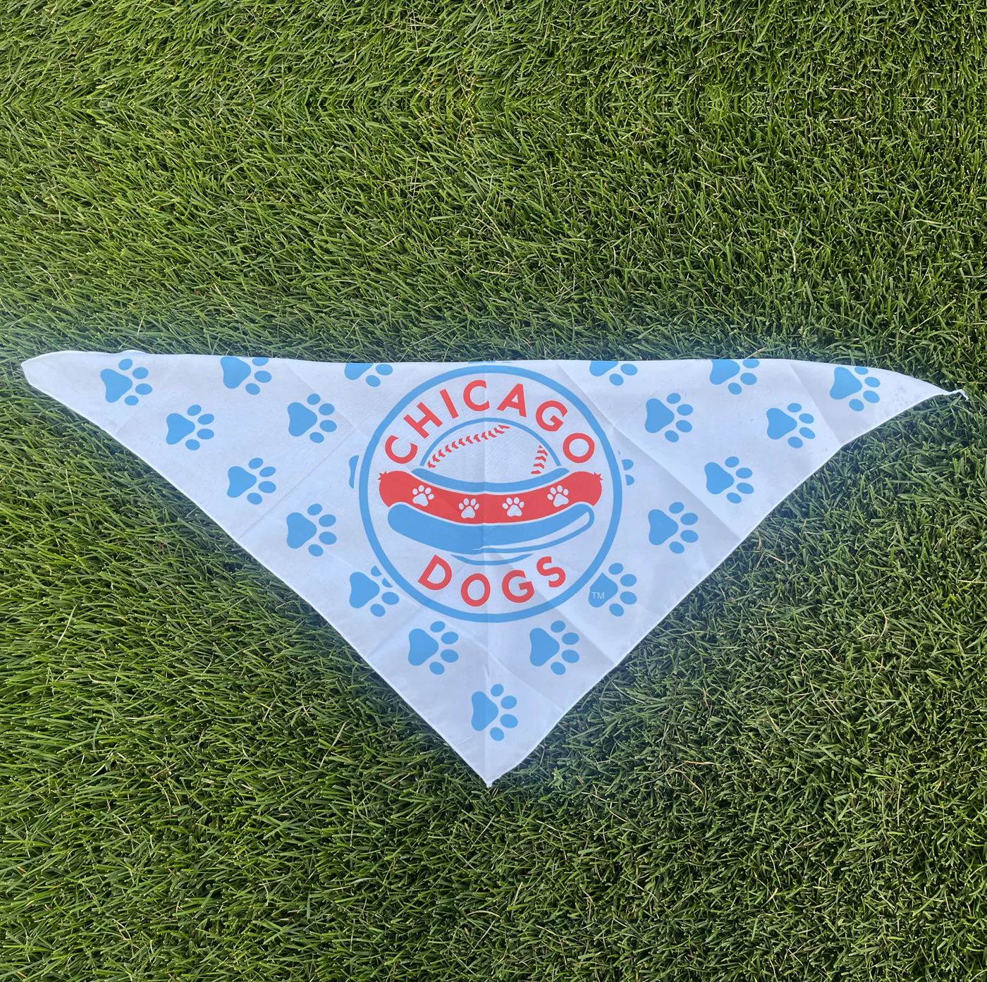 Chicago Dogs White/Blue Pet Bandana
