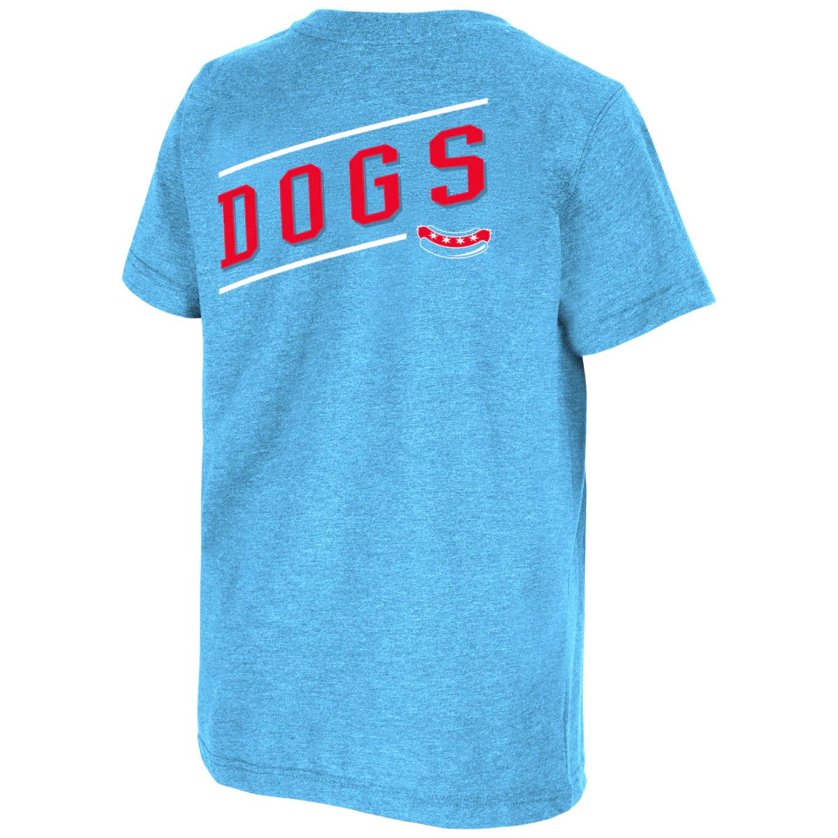 CHICAGO DOGS COLOSSEUM YOUTH TOONTOWN SHORT SLEEVE TEE SHIRT - LIGHT BLUE - Image 2